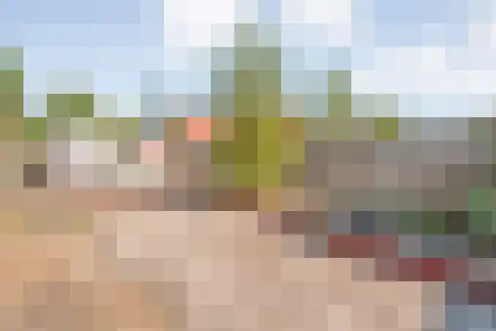 Prinses Marijkelaan 19 Slagharen thumbnail 35