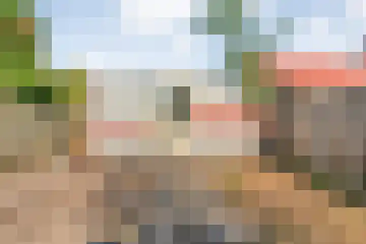 Prinses Marijkelaan 19 Slagharen thumbnail 38