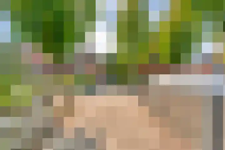 Prinses Marijkelaan 19 Slagharen thumbnail 39