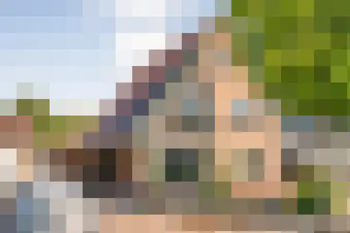 Prinses Marijkelaan 19 Slagharen thumbnail 4
