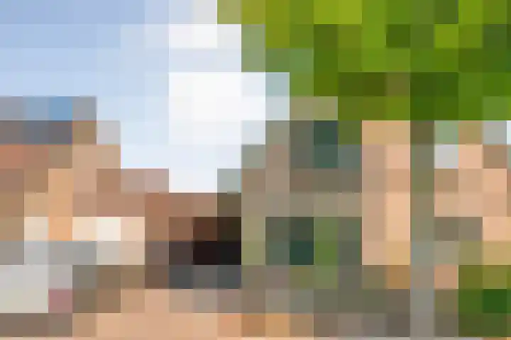 Prinses Marijkelaan 19 Slagharen thumbnail 40