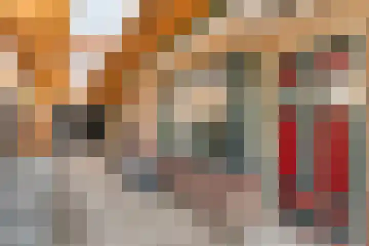 Prinses Marijkelaan 19 Slagharen thumbnail 5