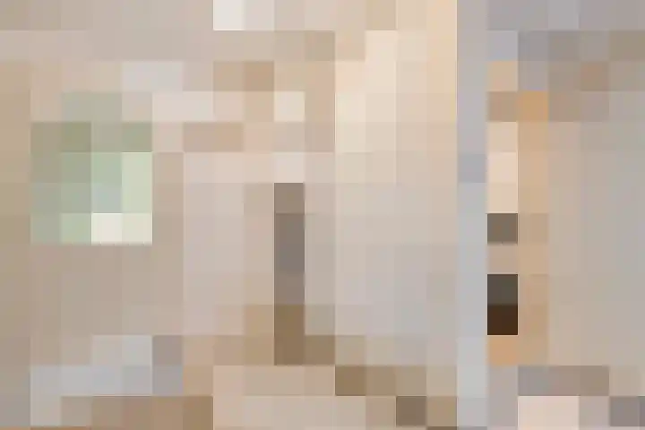 Prinses Marijkelaan 19 Slagharen thumbnail 6