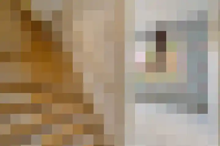Prinses Marijkelaan 19 Slagharen thumbnail 7
