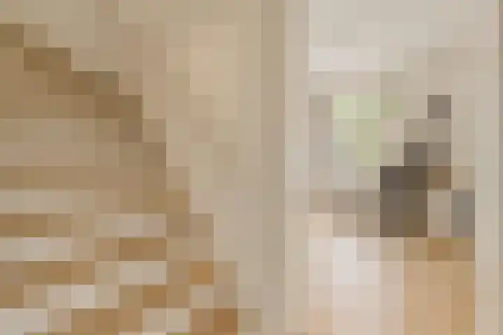 Prinses Marijkelaan 19 Slagharen thumbnail 8