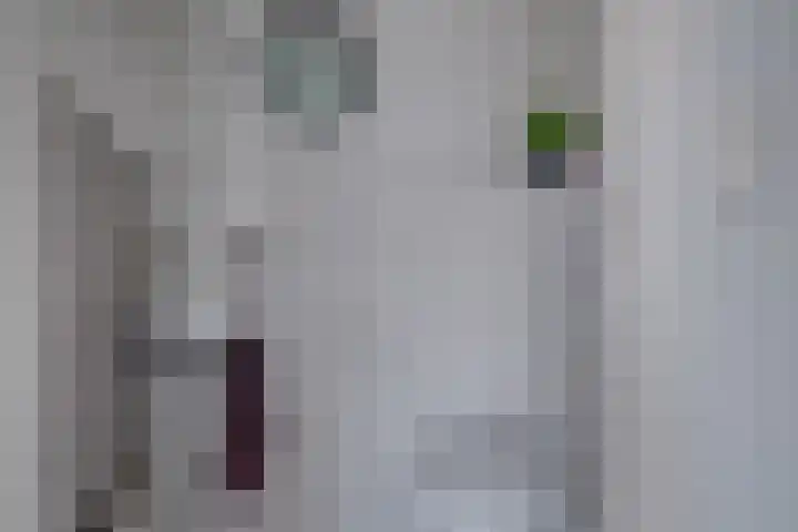 Prinses Marijkelaan 2 Lochem thumbnail 14