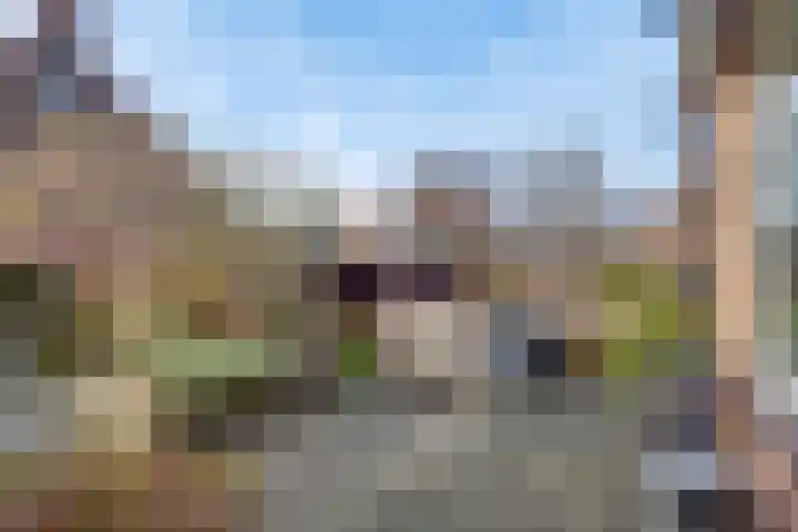 Prinses Marijkelaan 2 Lochem thumbnail 28