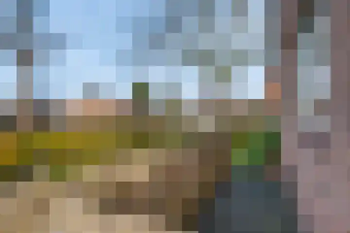 Prinses Marijkelaan 2 Lochem thumbnail 31