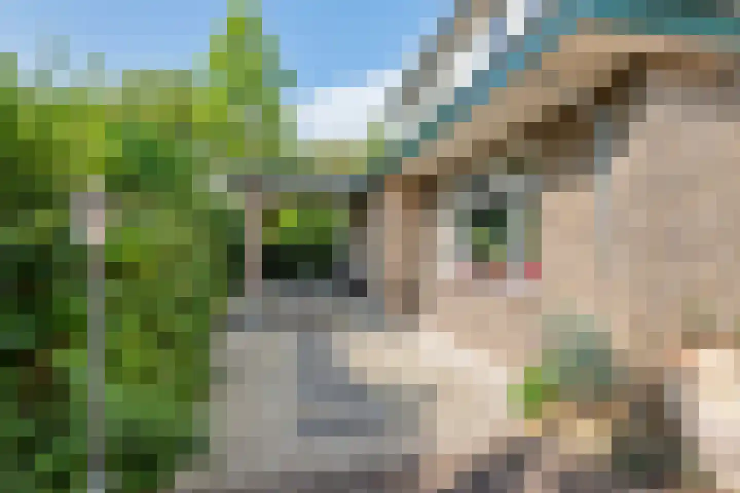 Prinses Marijkelaan 2 Tiel thumbnail 42