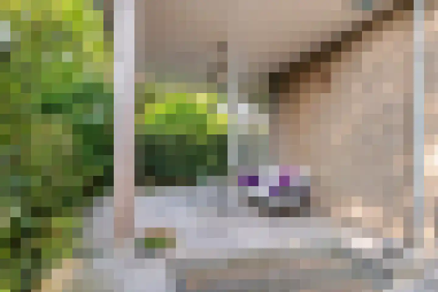Prinses Marijkelaan 2 Tiel thumbnail 43