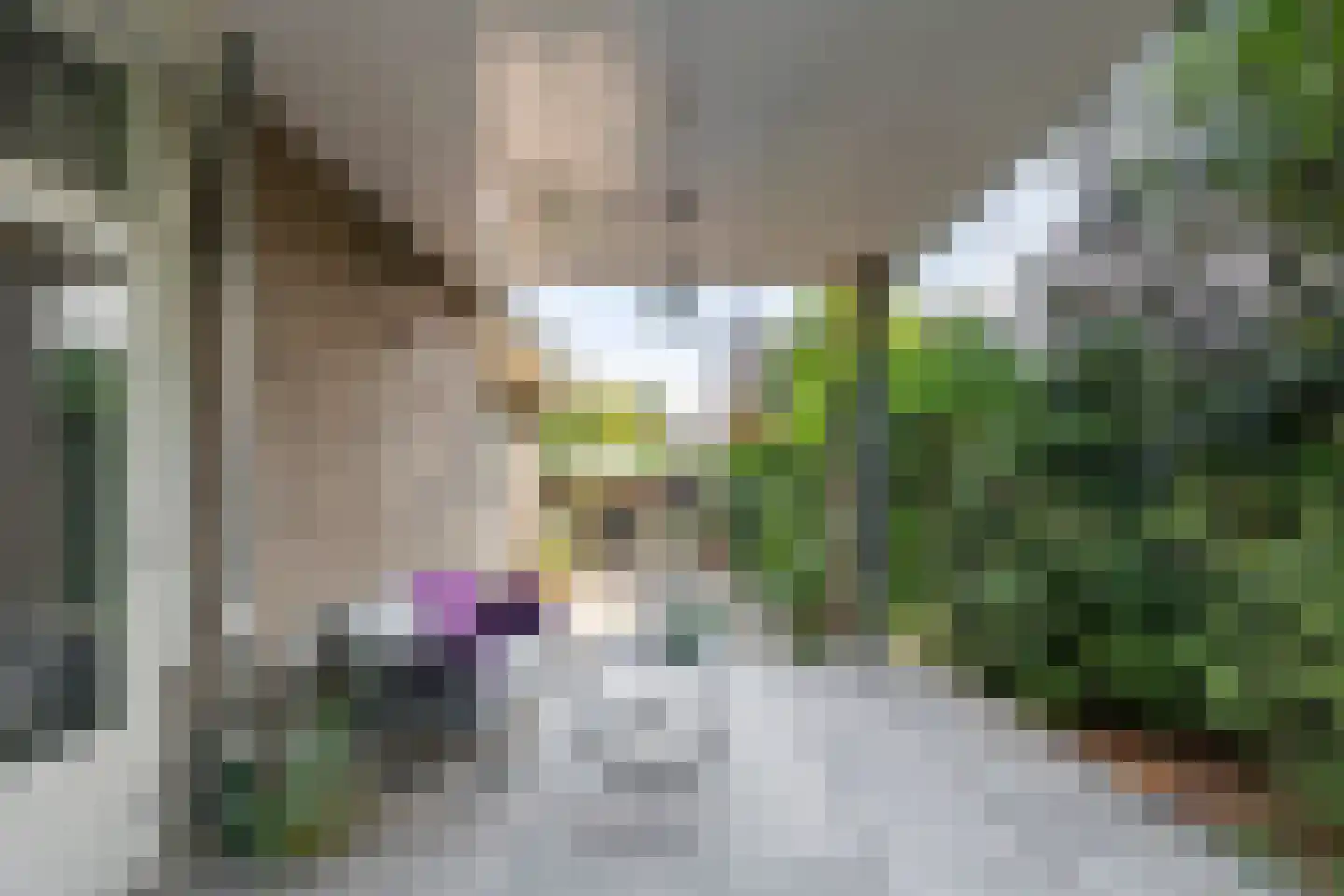 Prinses Marijkelaan 2 Tiel thumbnail 44
