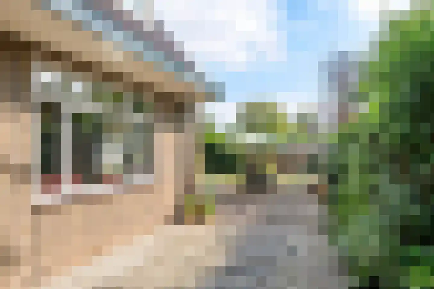 Prinses Marijkelaan 2 Tiel thumbnail 45
