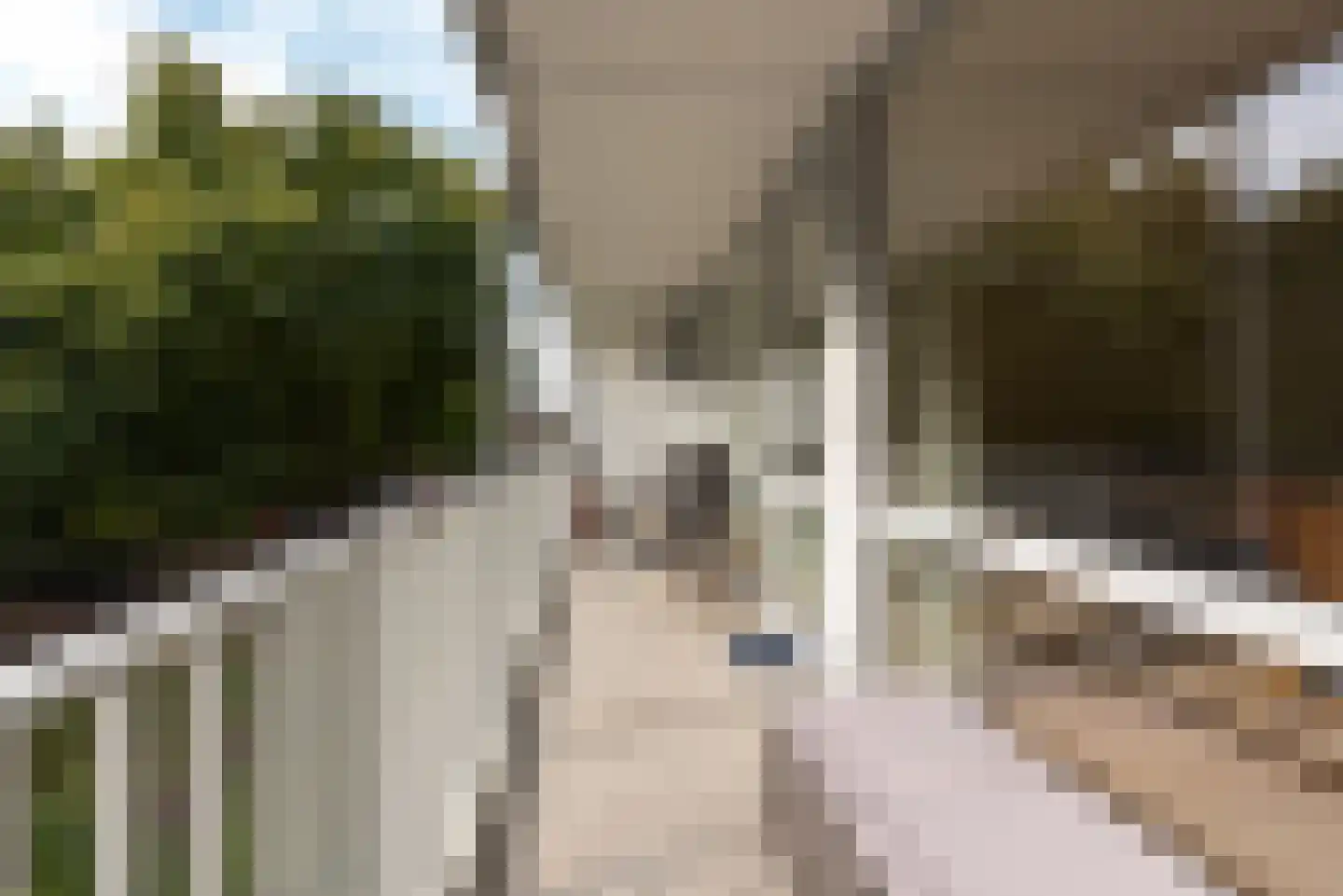 Prinses Marijkelaan 21 2 Zeist thumbnail 30
