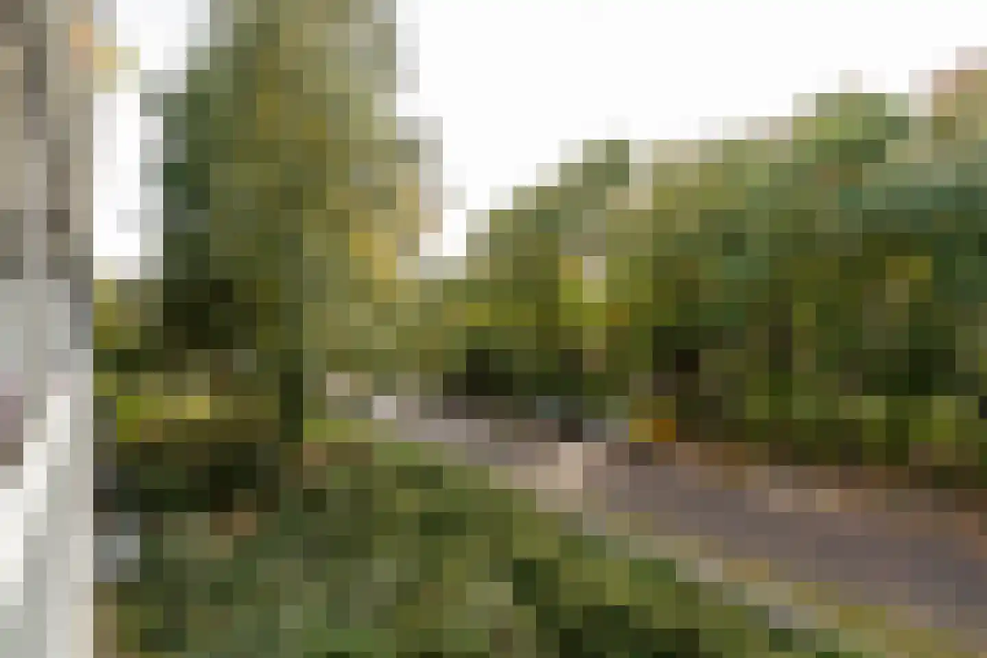 Prinses Marijkelaan 21 2 Zeist thumbnail 32