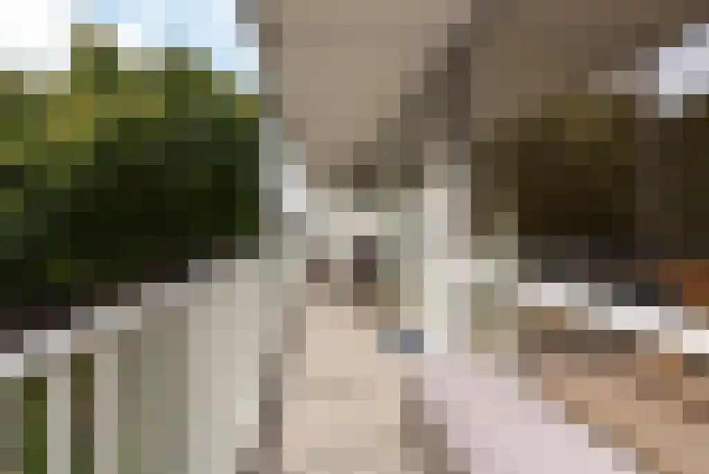 Prinses Marijkelaan 21 2 Zeist thumbnail 6