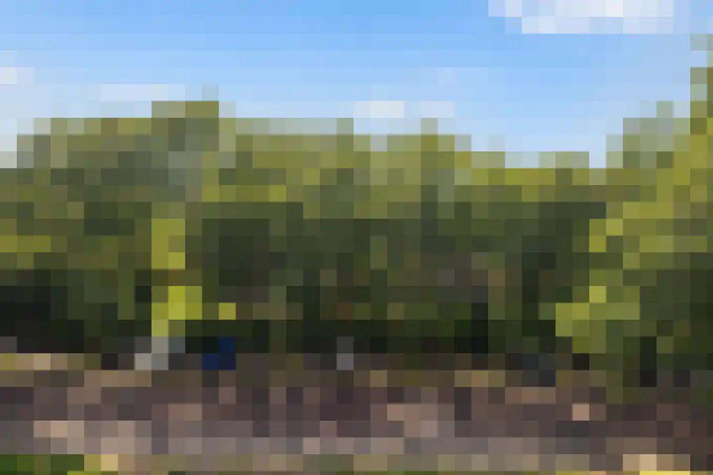 Prinses Marijkelaan 21 3 Zeist thumbnail 38