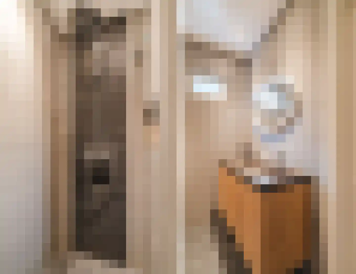 Prinses Marijkelaan 21 Scherpenzeel thumbnail 19