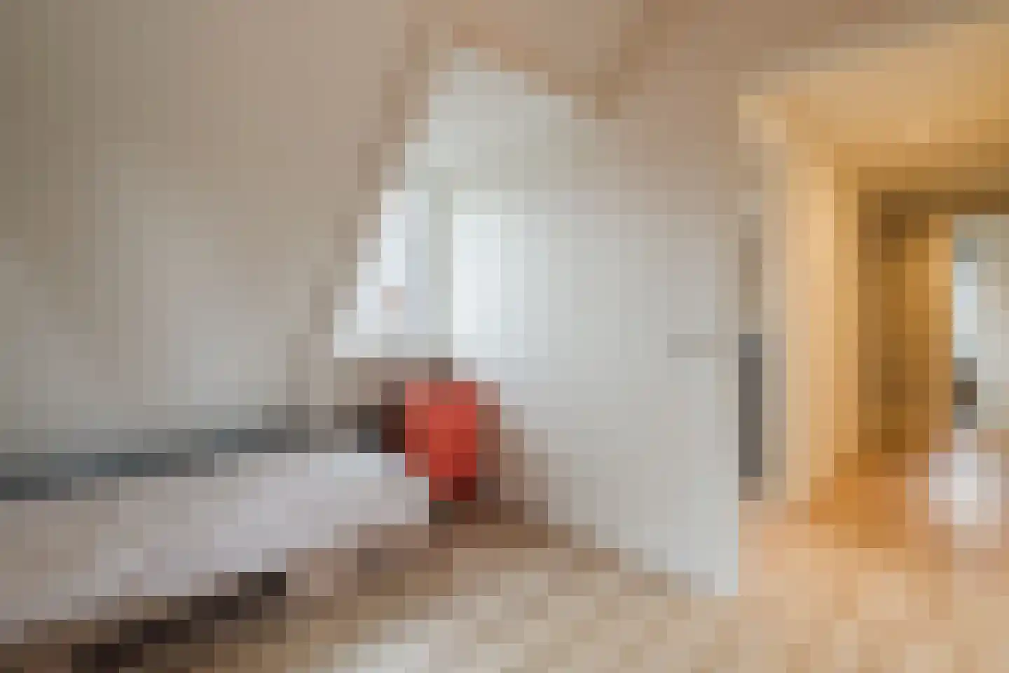 Prinses Marijkelaan 21 Scherpenzeel thumbnail 27