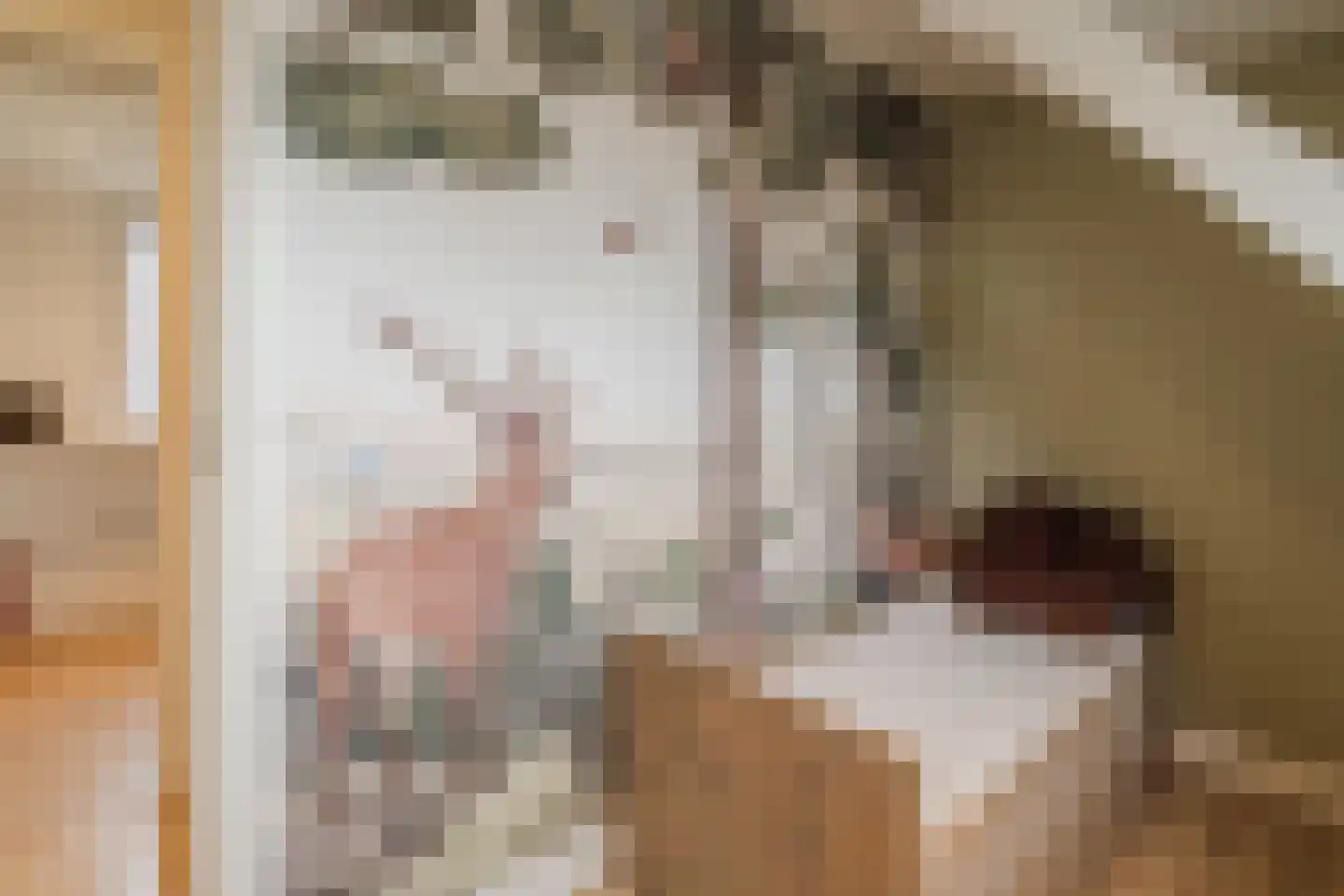 Prinses Marijkelaan 21 Scherpenzeel thumbnail 32