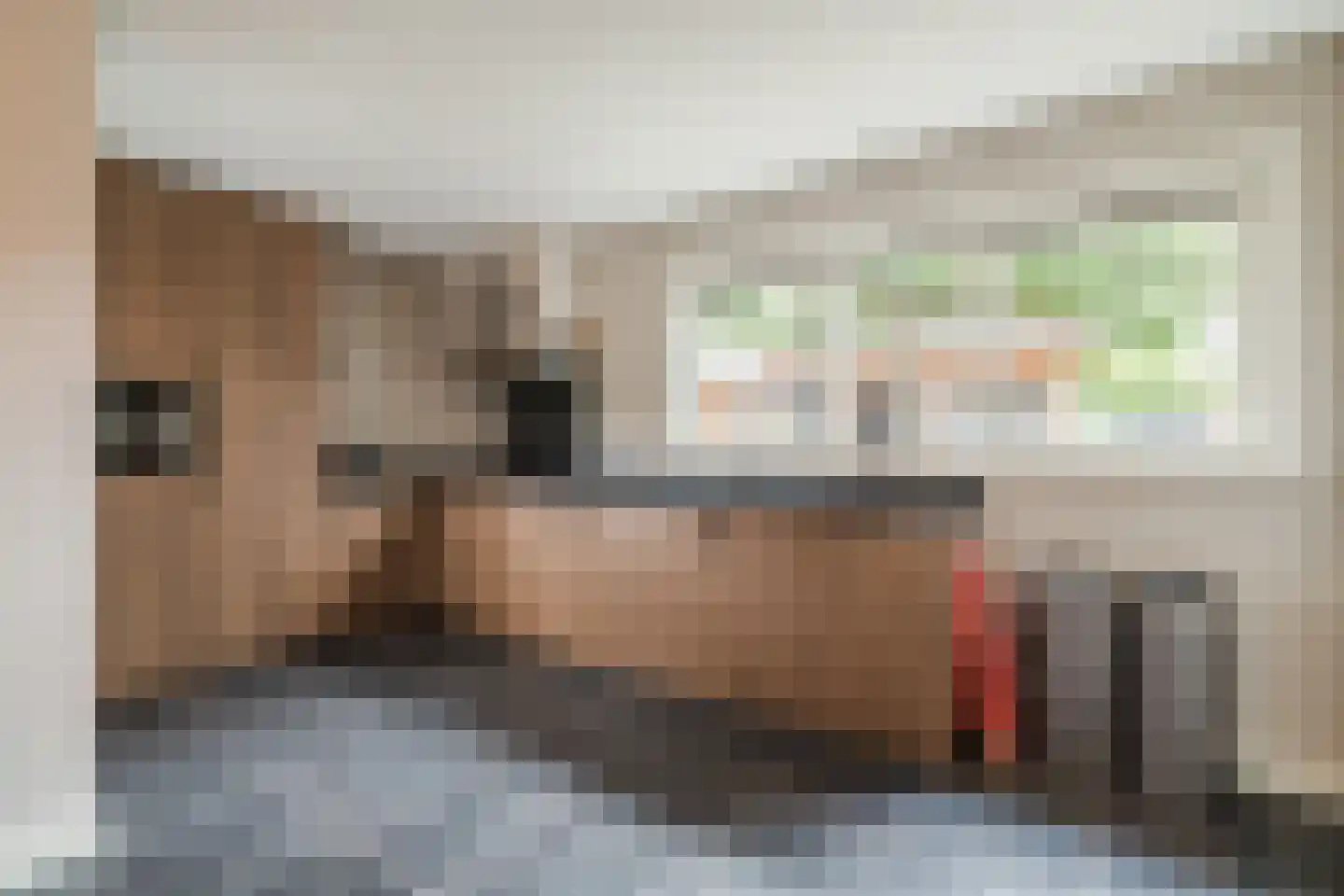 Prinses Marijkelaan 21 Scherpenzeel thumbnail 4