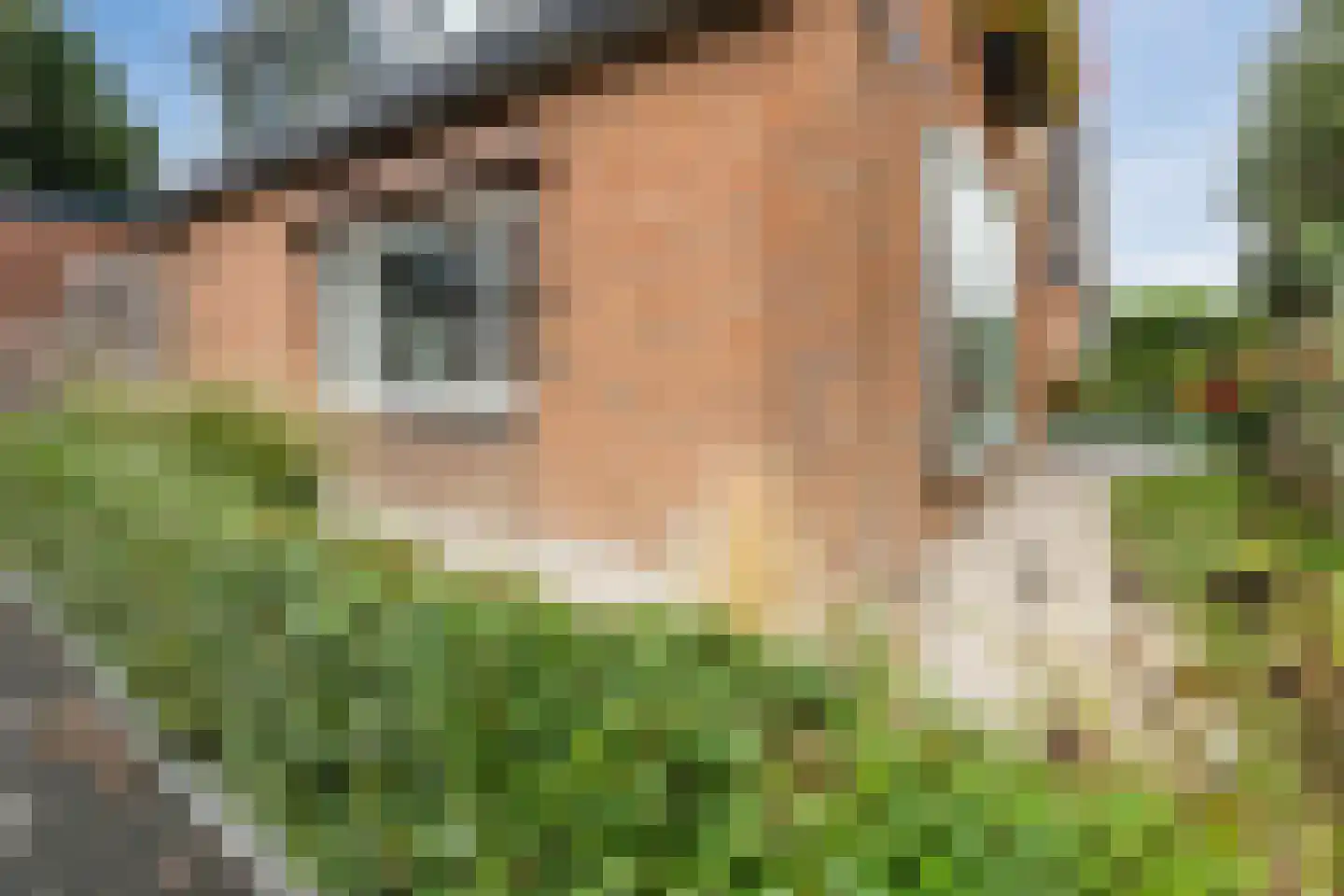 Prinses Marijkelaan 21 Scherpenzeel thumbnail 42