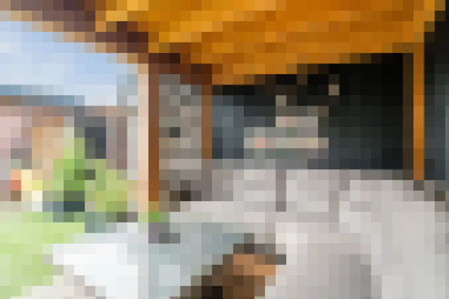 Prinses Marijkelaan 21 Scherpenzeel thumbnail 46