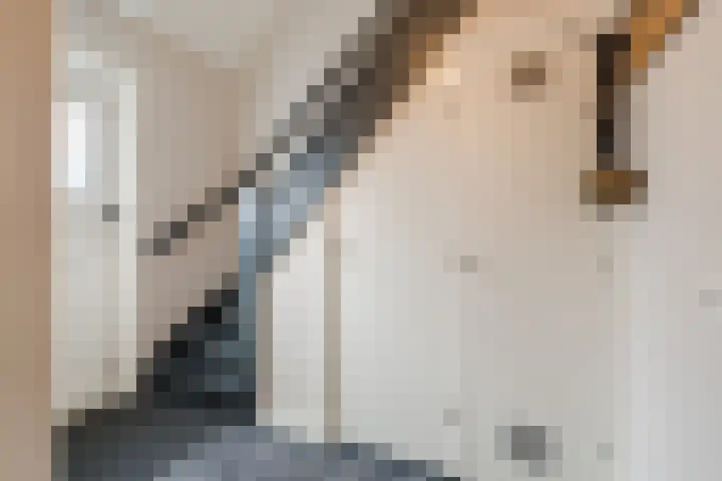 Prinses Marijkelaan 21 Scherpenzeel thumbnail 6