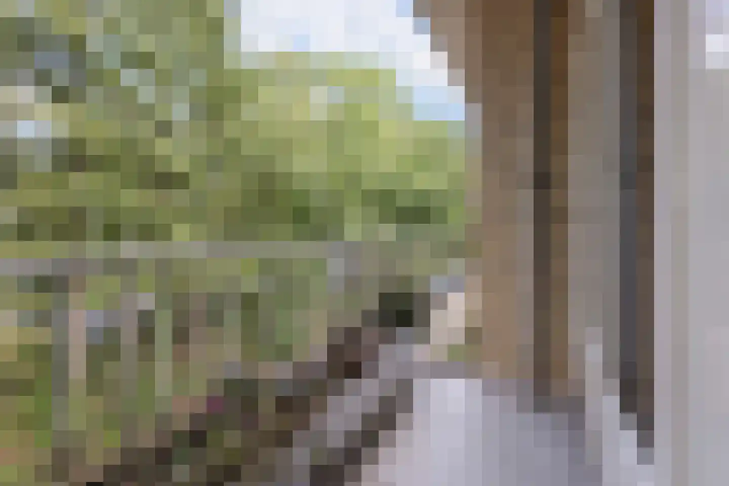 Prinses Marijkelaan 22 2 Zeist thumbnail 15