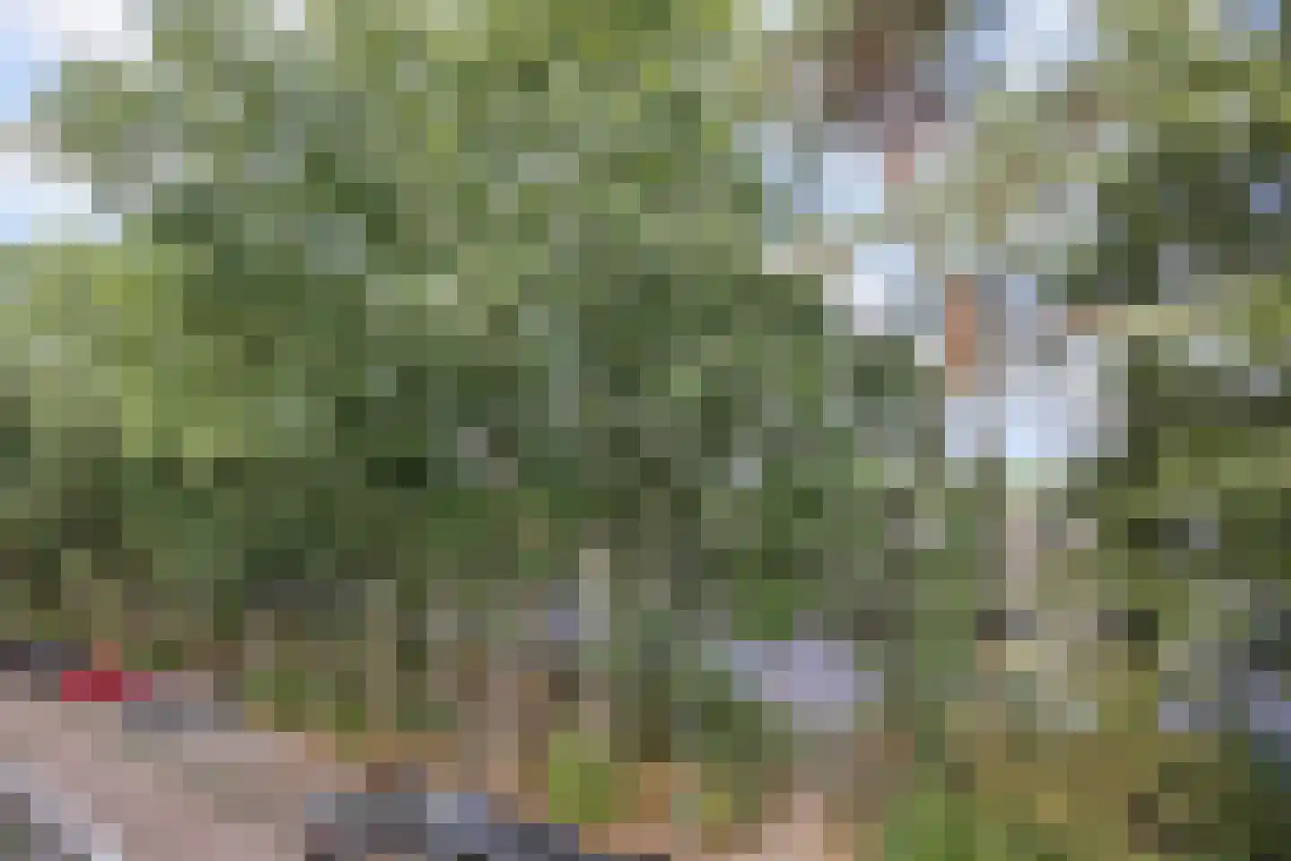 Prinses Marijkelaan 22 2 Zeist thumbnail 16