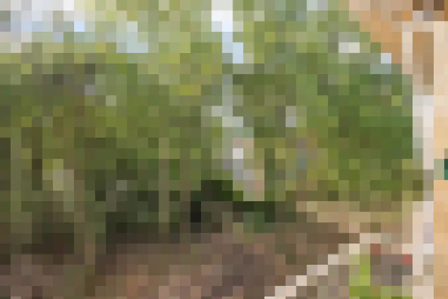 Prinses Marijkelaan 22 2 Zeist thumbnail 25