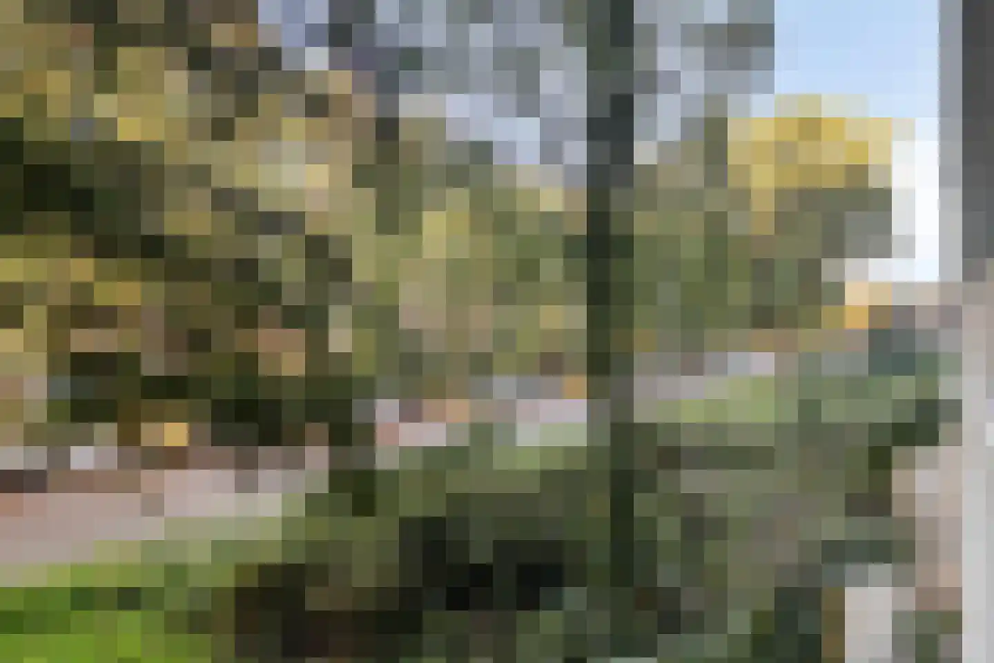 Prinses Marijkelaan 25 1 Zeist thumbnail 25