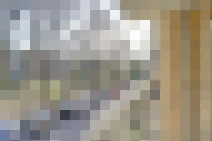 Prinses Marijkelaan 26 1 Zeist thumbnail 16