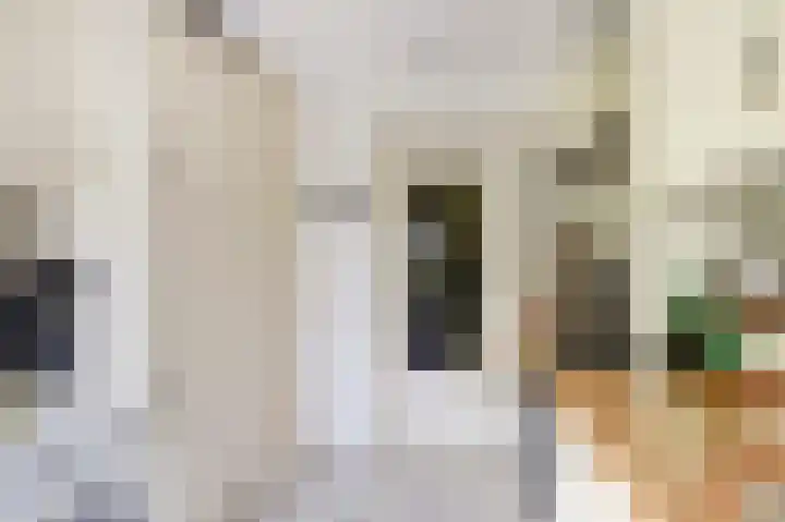 Prinses Marijkelaan 26 1 Zeist thumbnail 21