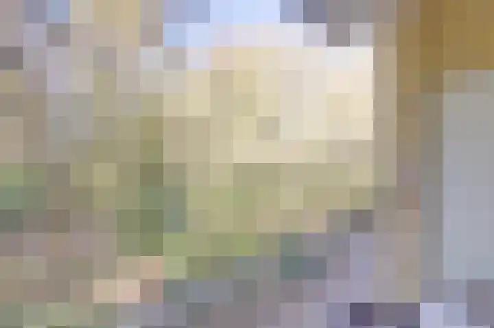 Prinses Marijkelaan 26 1 Zeist thumbnail 27