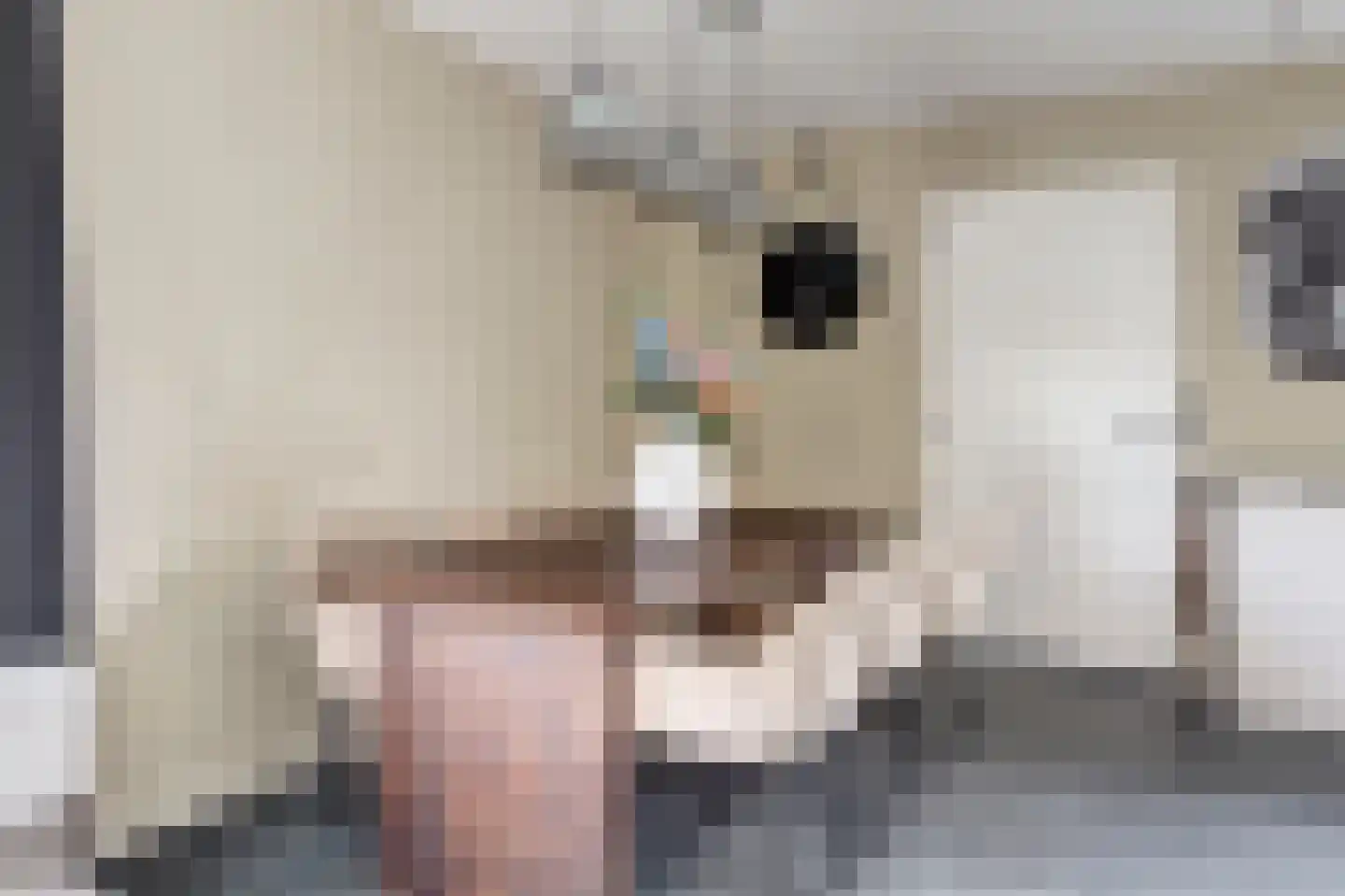 Prinses Marijkelaan 27 Scherpenzeel thumbnail 13