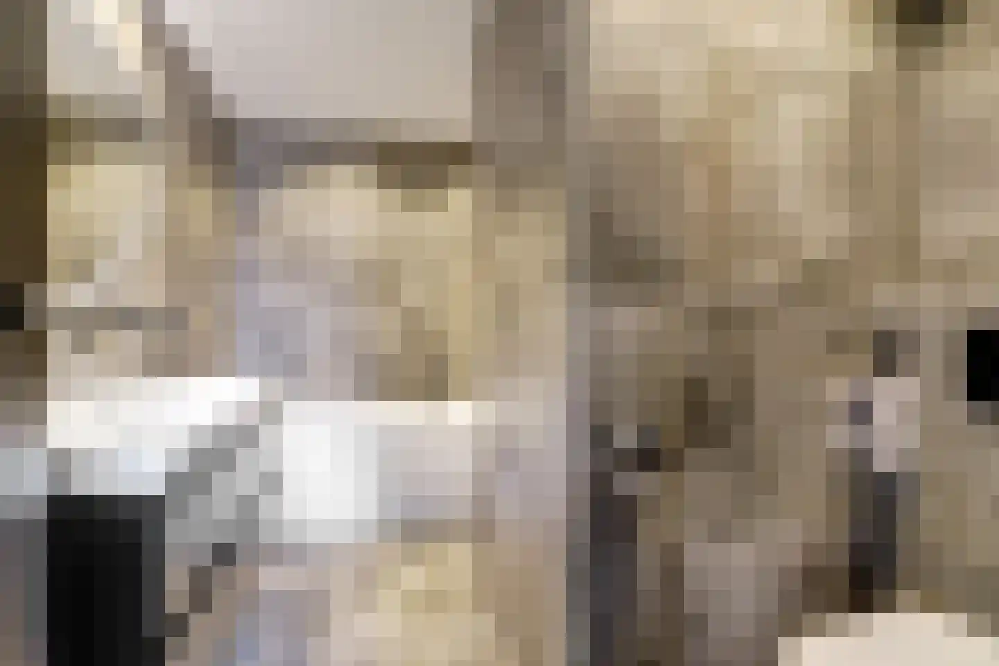 Prinses Marijkelaan 27 Scherpenzeel thumbnail 18