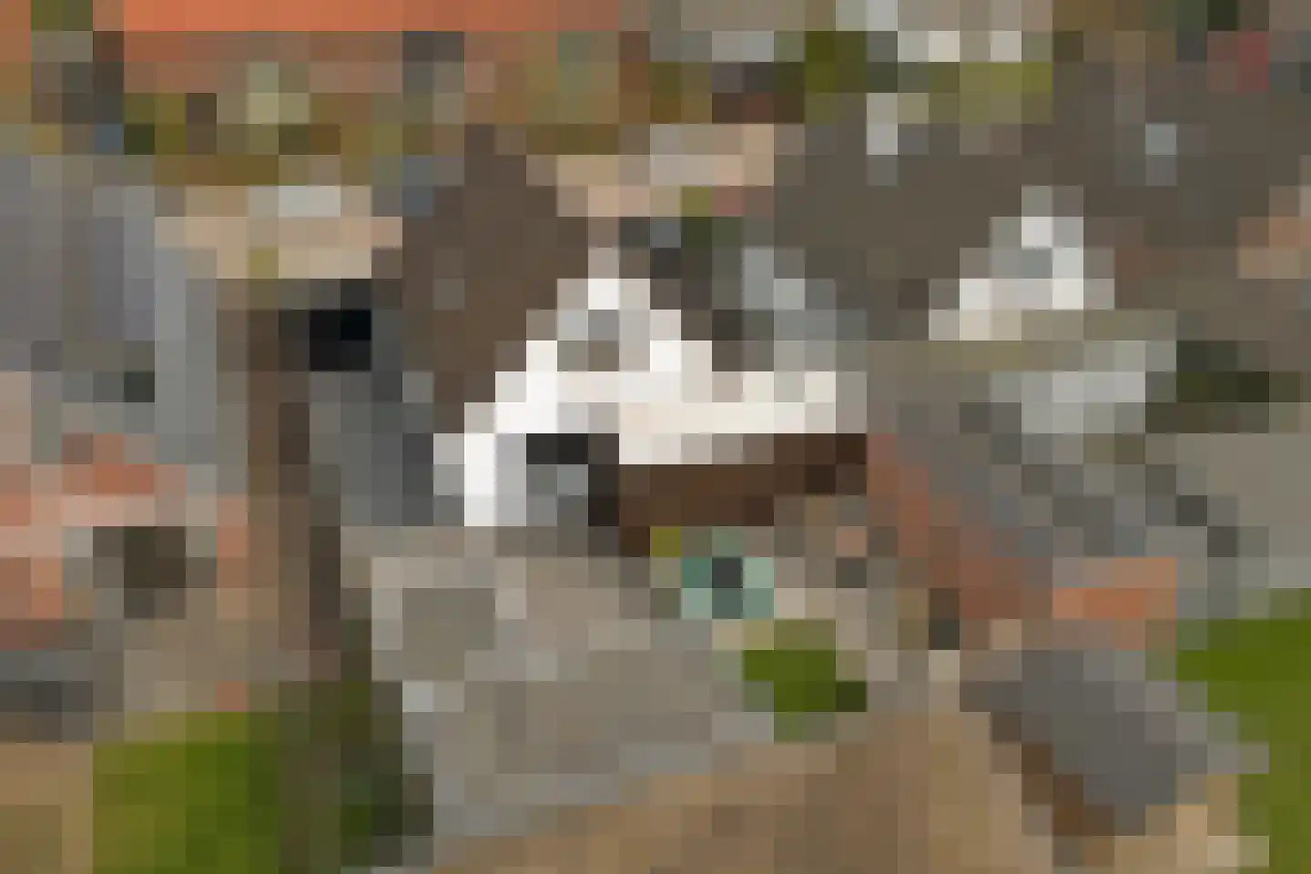 Prinses Marijkelaan 27 Scherpenzeel thumbnail 36