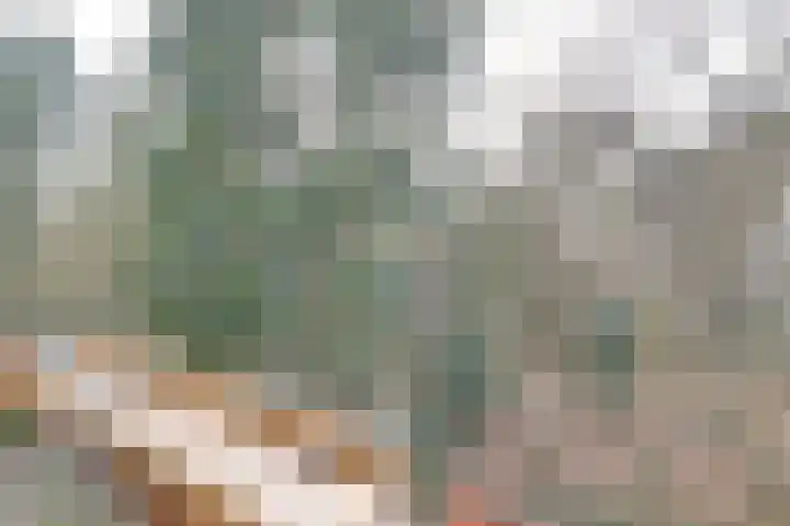Prinses Marijkelaan 28 2 Zeist thumbnail 26