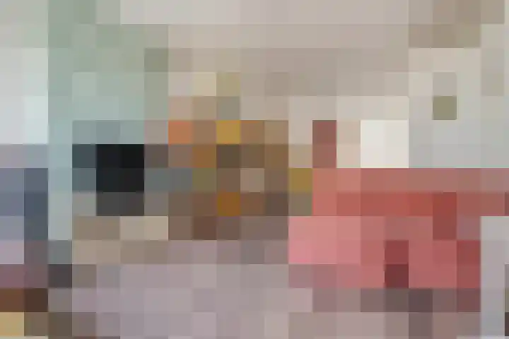 Prinses Marijkelaan 28 2 Zeist thumbnail 4