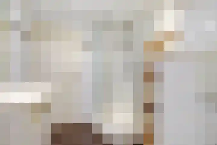 Prinses Marijkelaan 29 1 Zeist thumbnail 19