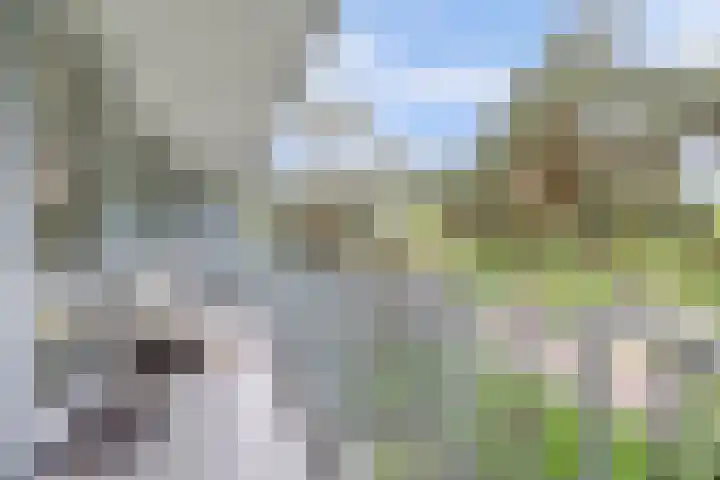 Prinses Marijkelaan 29 1 Zeist thumbnail 21