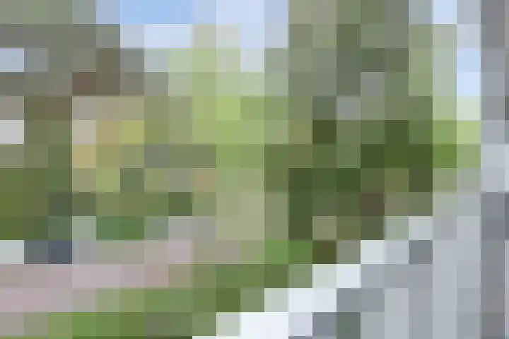 Prinses Marijkelaan 29 1 Zeist thumbnail 23