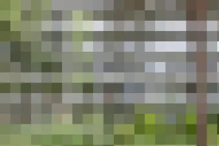 Prinses Marijkelaan 29 1 Zeist thumbnail 28