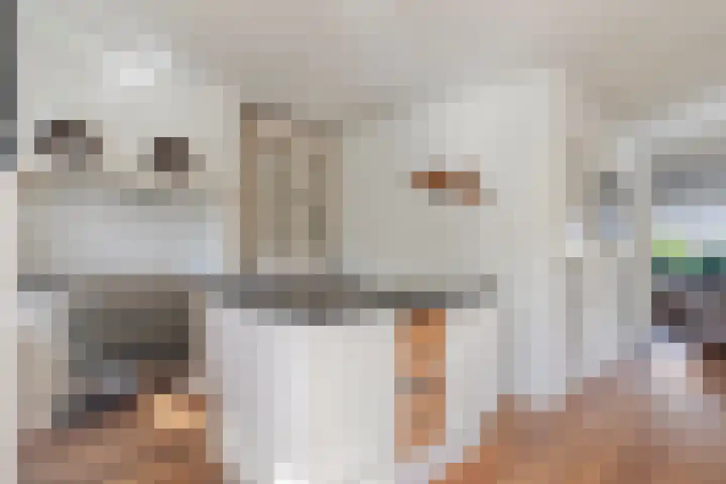 Prinses Marijkelaan 29 Scherpenzeel thumbnail 12
