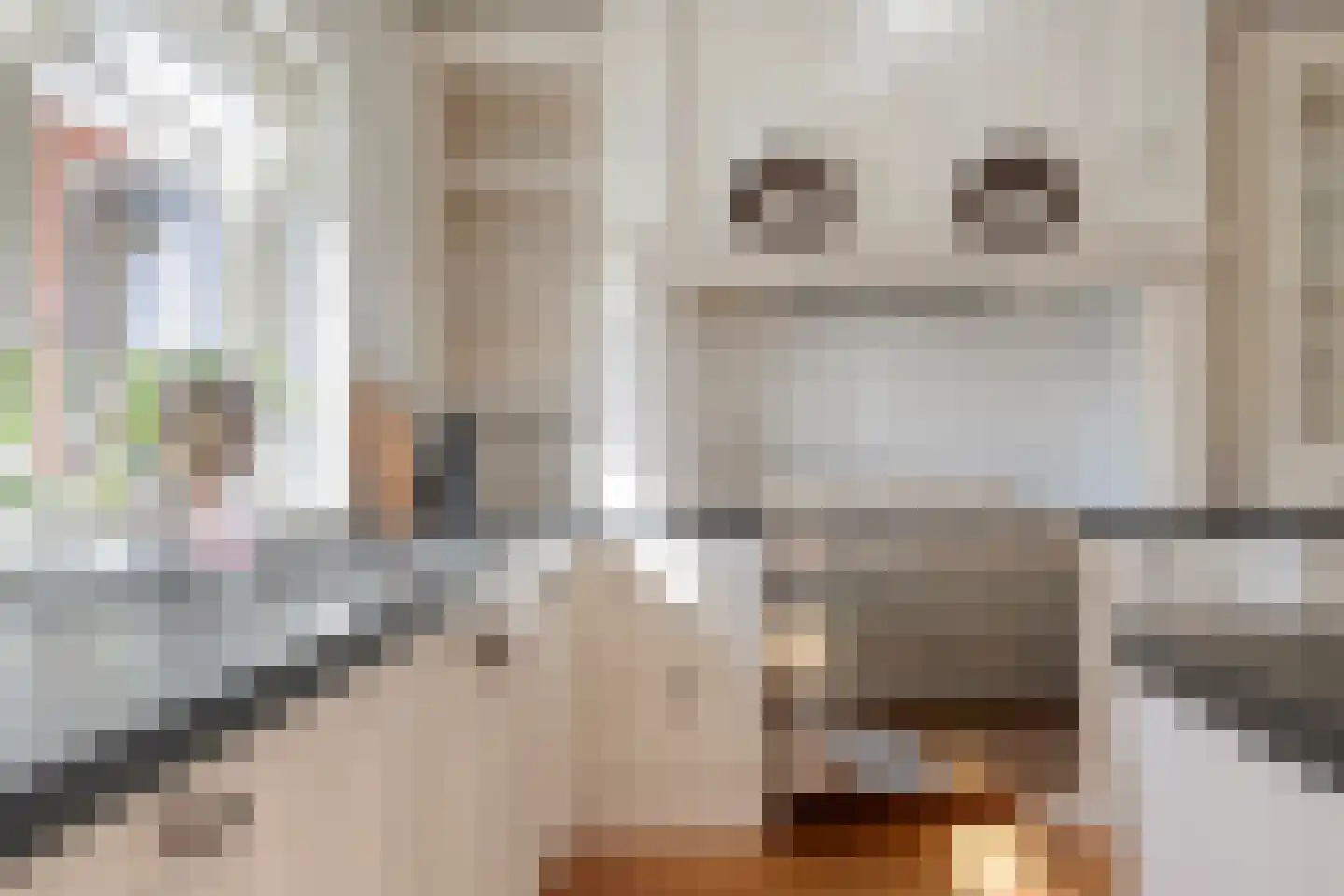 Prinses Marijkelaan 29 Scherpenzeel thumbnail 14