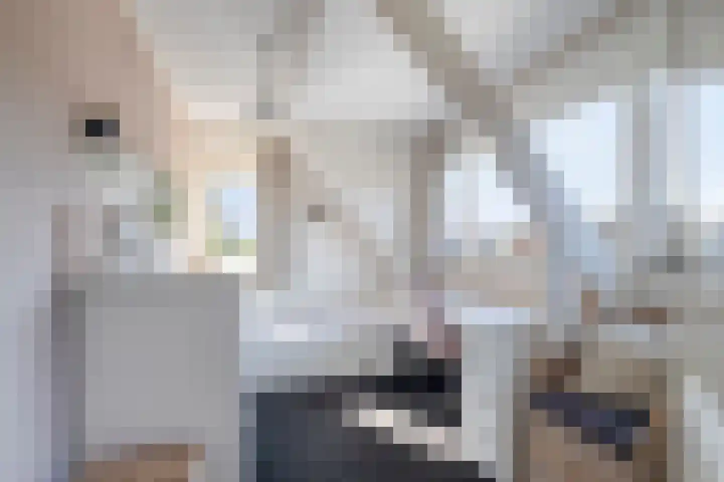 Prinses Marijkelaan 29 Scherpenzeel thumbnail 30
