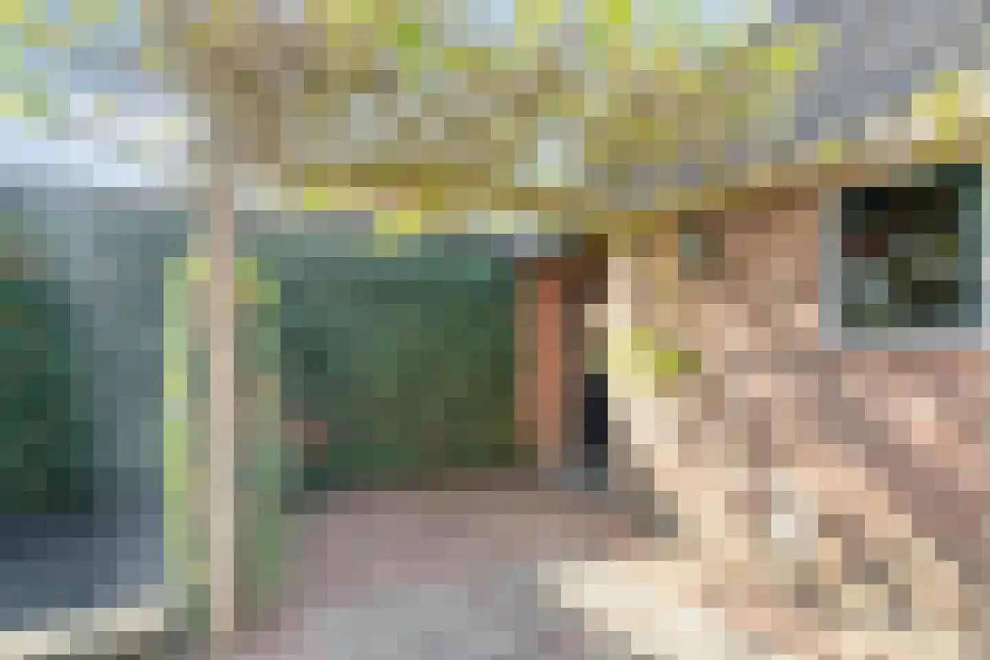 Prinses Marijkelaan 29 Scherpenzeel thumbnail 34