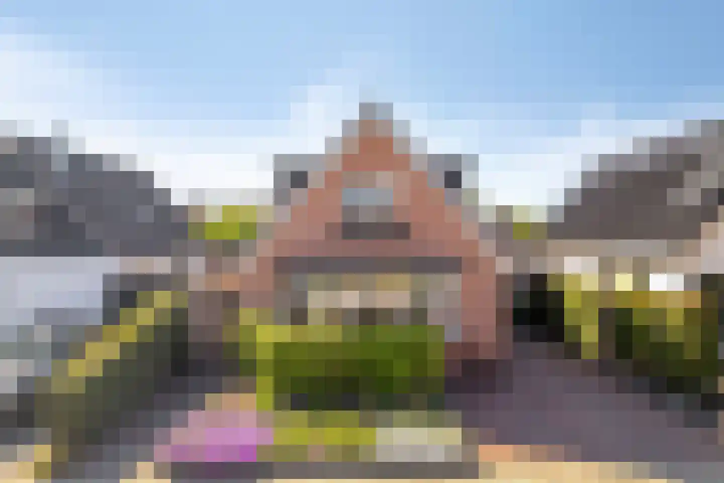 Prinses Marijkelaan 29 Scherpenzeel thumbnail 40