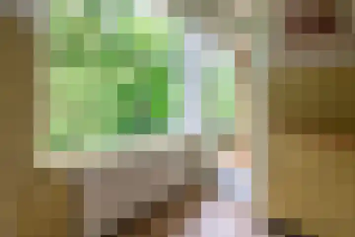 Prinses Marijkelaan 30 2 Zeist thumbnail 12