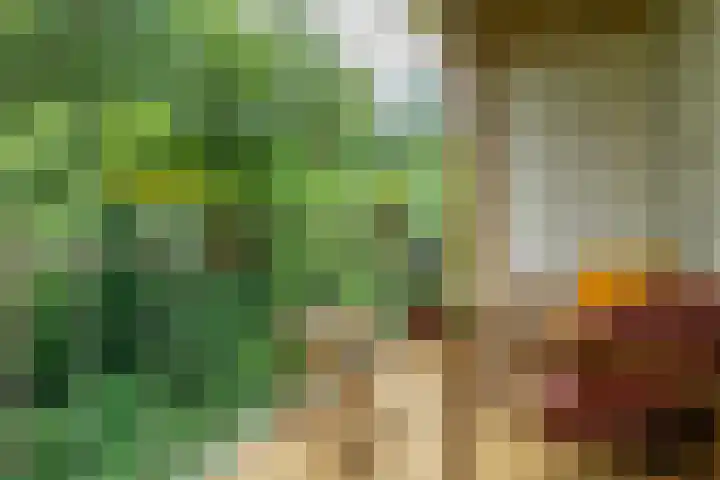 Prinses Marijkelaan 30 2 Zeist thumbnail 16